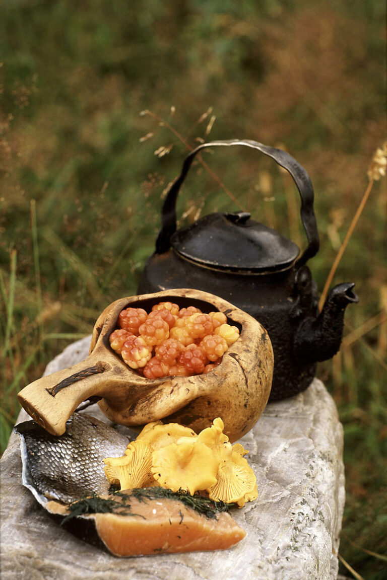 The gold of the forest, freshly picked cloudberries, mushrooms and freshly caught fish.