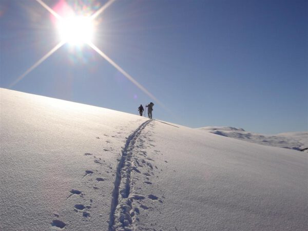 Two people walking across the snow-covered mountain with the bright sun in the background