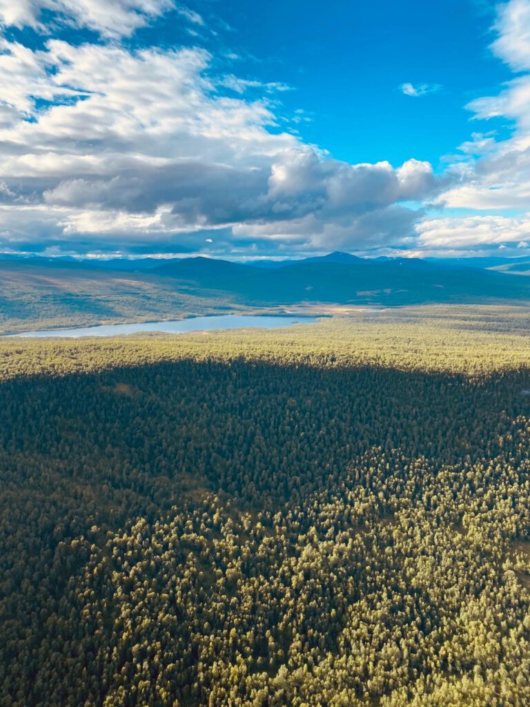 Photo from helicopter flying over the forest and mountains on the horizon