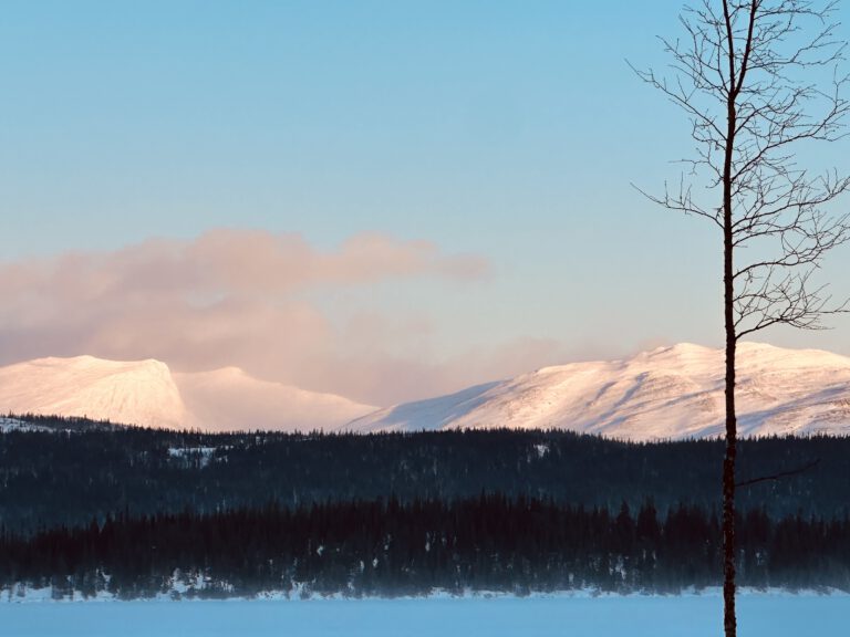 Winter landscape with the mountains in the horizon