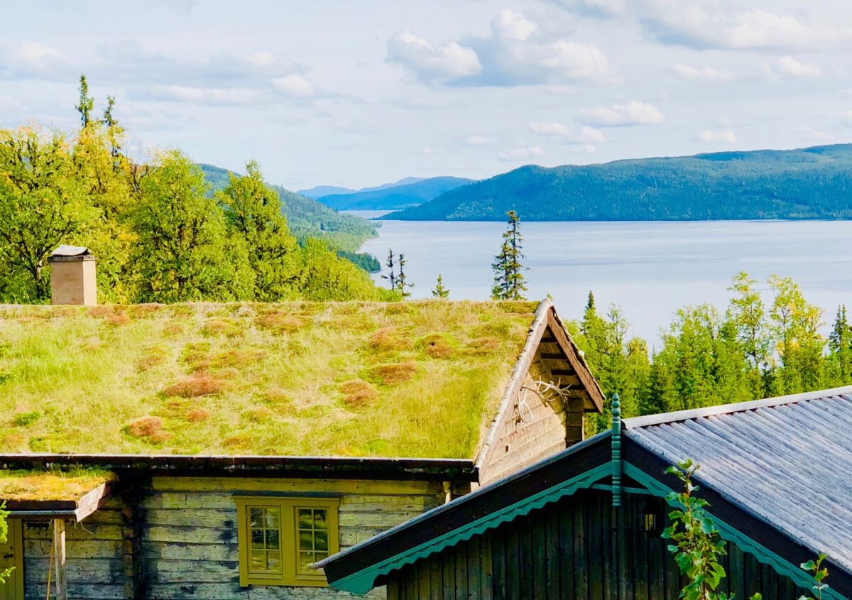 View over the rooftops with the lake and mountains on the horizon